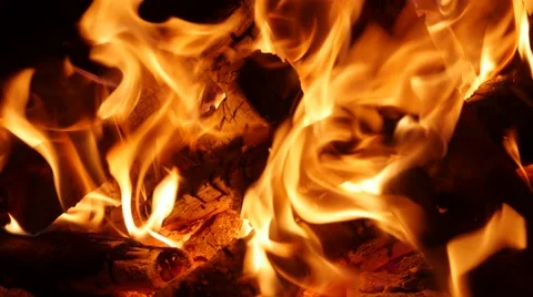 Shot of a campfire burning at night Stock Footage 54824856