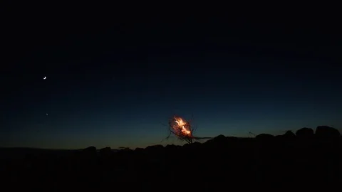 Shot of a Campfire at night, moonlight. Stock Footage 75174525