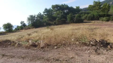 Shot from a car window, 4K Stock Footage 67270528