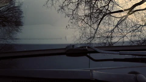 Shot on a car window with trees reflecting on it Stock Footage 169367302