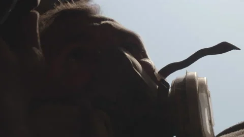 A shot of a Carpenter wearing disposable protective face mask working in a Stock Footage 206034847
