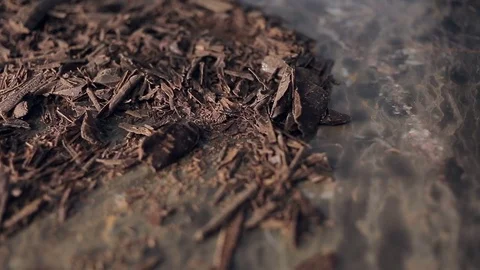 Shot of Chocolate chips Video stock 74551388