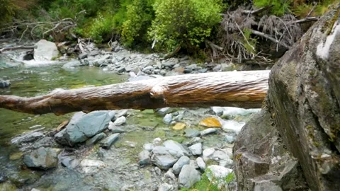 Shot of climbing a boulder and looking into a river in New Zealand Stock Footage 260775470
