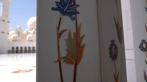 Shot from a close up view of a leaf pattern then going to the wide shot of Stock Footage 108680138