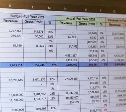 Shot of a computer screen showing excel table with company budget open. Bus.. 스톡 사진