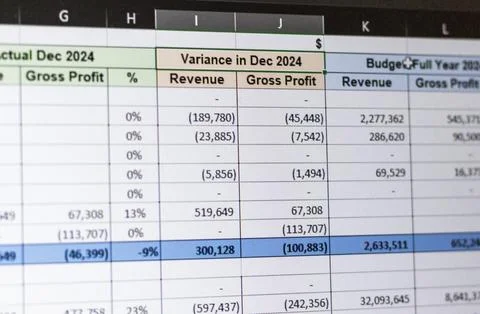 Shot of a computer screen showing excel table with company budget open. Bus.. 스톡 사진