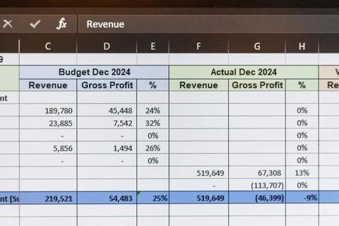 Shot of a computer screen showing excel table with company budget open. Bus.. 스톡 사진