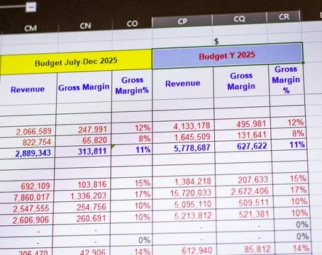 Shot of a computer screen showing excel table with company budget open. Bus.. 스톡 사진