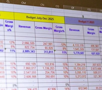 Shot of a computer screen showing excel table with company budget open. Bus.. 스톡 사진