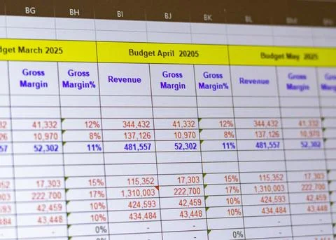 Shot of a computer screen showing excel table with company budget open. Bus.. 스톡 사진