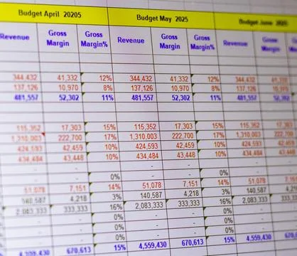 Shot of a computer screen showing excel table with company budget open. Bus.. 스톡 사진