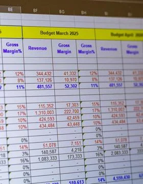 Shot of a computer screen showing excel table with company budget open. Bus.. 스톡 사진