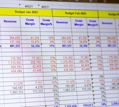 Shot of a computer screen showing excel table with company budget open. Bus.. 스톡 사진
