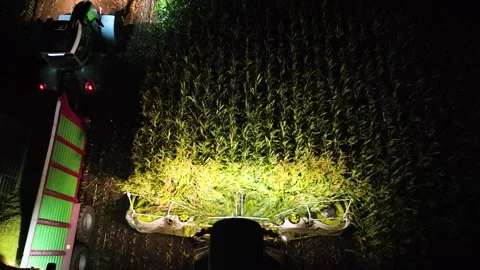Shot of corn chopper harvesting maize and loading into tractor in evening. Stock Footage 252099510