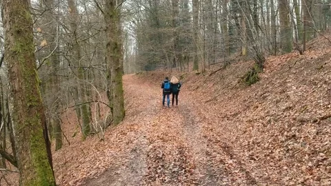 Shot of couple walking by in a forest during winter in Luxembourg Video stock 88698393