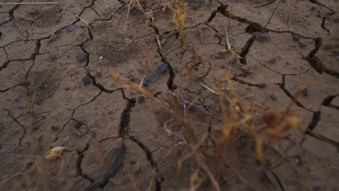 A shot of a cracked ground. Stock Footage 91672897
