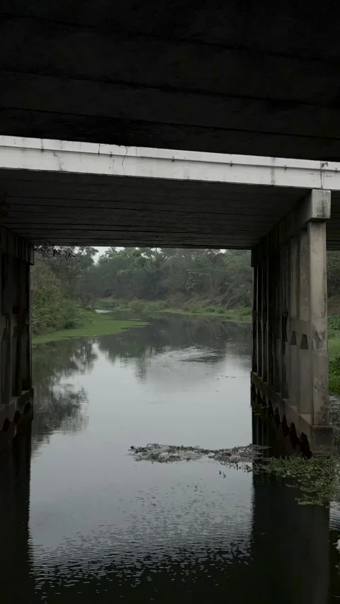 Shot of drone crossing a bridge underneath a swamp Stock Footage 264760189