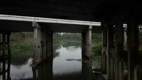 Shot of drone crossing a bridge underneath a swamp Stock-Footage 265509696