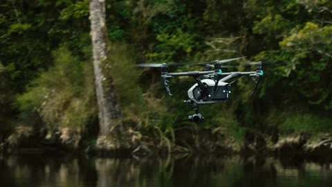 Shot of drone flying in native New Zealand bush Stock Footage 89998445
