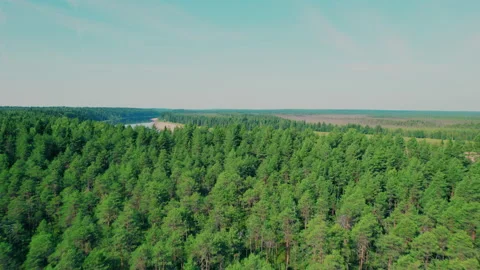 Shot on a drone.A wide river in the forest with a beautiful sandy ples. Stock Footage 204920786