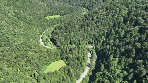 Shot from a drone on a winding road, in the middle of green forests. Stock Footage 280983825