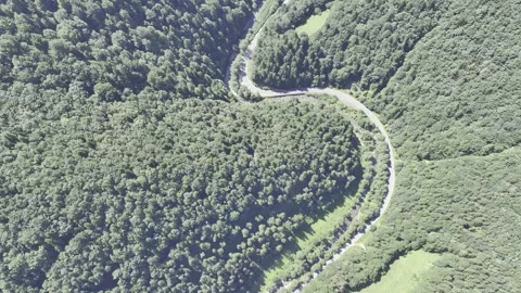 Shot from a drone on a winding road, in the middle of green forests. Stock Footage 281006947