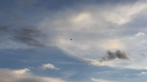 Shot of a eagle flying through sky Stock Footage 276168383