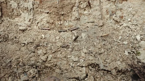 Shot empty casings fall to dry ground under sound of gunfire Stock Footage 263769228