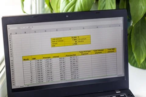 Shot of an excel sheet on computer screen showing bank loan amortization ta.. 스톡 사진