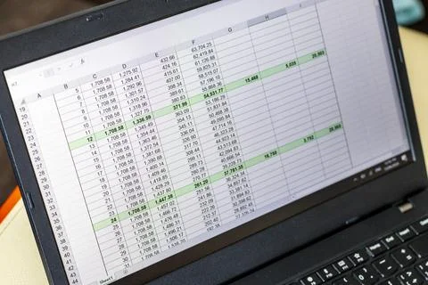 Shot of an excel sheet on computer screen showing bank loan amortization ta.. 스톡 사진