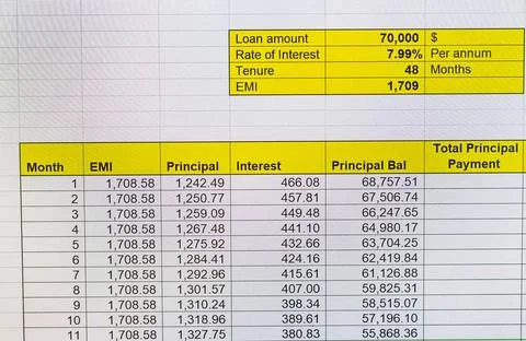 Shot of an excel sheet on computer screen showing bank loan amortization t... 스톡 사진