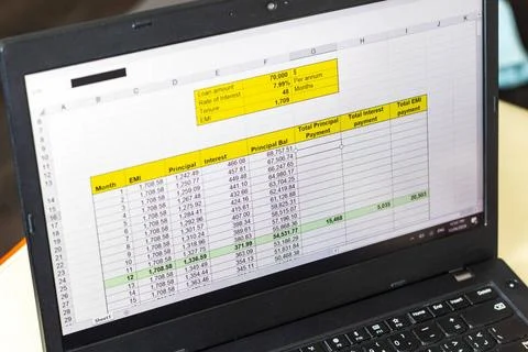 Shot of an excel sheet on computer screen showing bank loan amortization t... 스톡 사진
