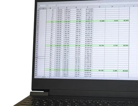 Shot of an excel sheet on computer screen showing bank loan amortization ta.. 스톡 사진