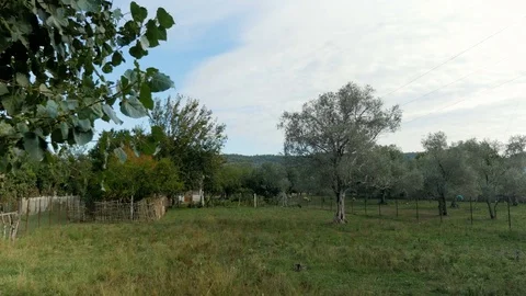 Shot of a field in Shkodër, Albania Stock-Footage 84679076
