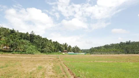 Shot of fields between the mountainous area Video stock 156968696