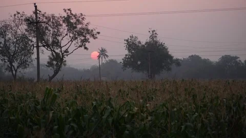 Shot of fields with sun dusk behind, Footage of sun dusk in evening time Video stock 151950780