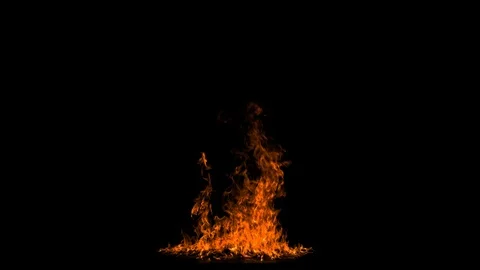 Shot of the fire flames burning upwards 動画素材 122197248