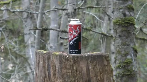 Shot Stock Footage 8853187