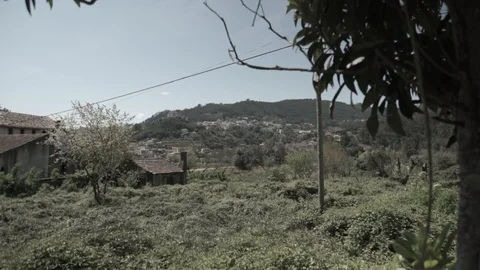 Shot of forest Vídeos de archivo 94118150