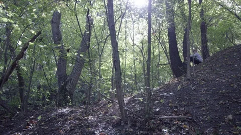 A shot in a forest 動画素材 119104938