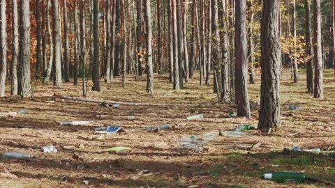 Shot of Forests' pollution with garbage Vídeos de archivo 157593051