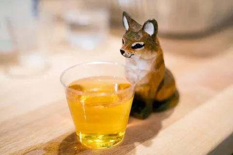 Shot with a fox Stock Photos