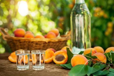 Shot glass with fruit brandy on table Stock Photos