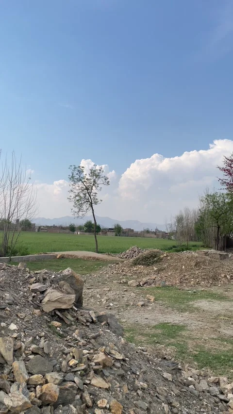 A shot of green field backed by clouds and blue sky. Stock Footage 304439728