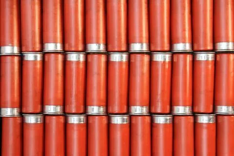 Shot Gun Shells 库存照片
