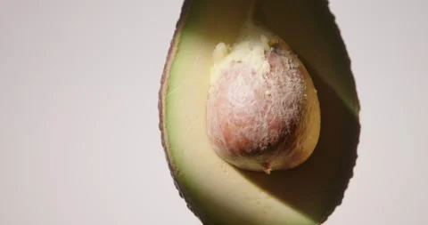 Shot of half raw fresh avocado fruit rotating. Stock Footage 330753210