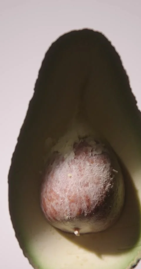 Shot of half raw fresh avocado fruit rotating. Stock Footage 330753211