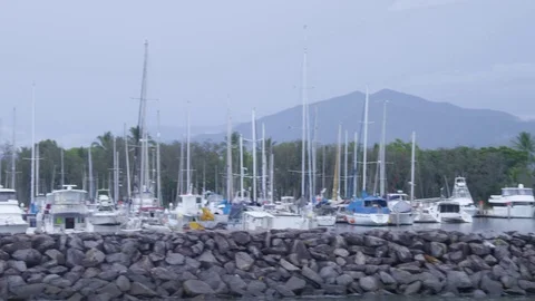 A shot of a harbor Stock Footage 79038697