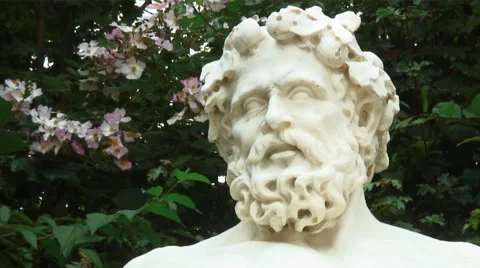 Shot of the head of statue in Paris with a blossoming tree behind. Stock Footage 52321358