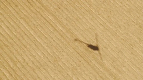 A shot of a helicopter's shadow Stock Footage 91676087